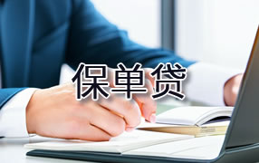 德宏保单贷
